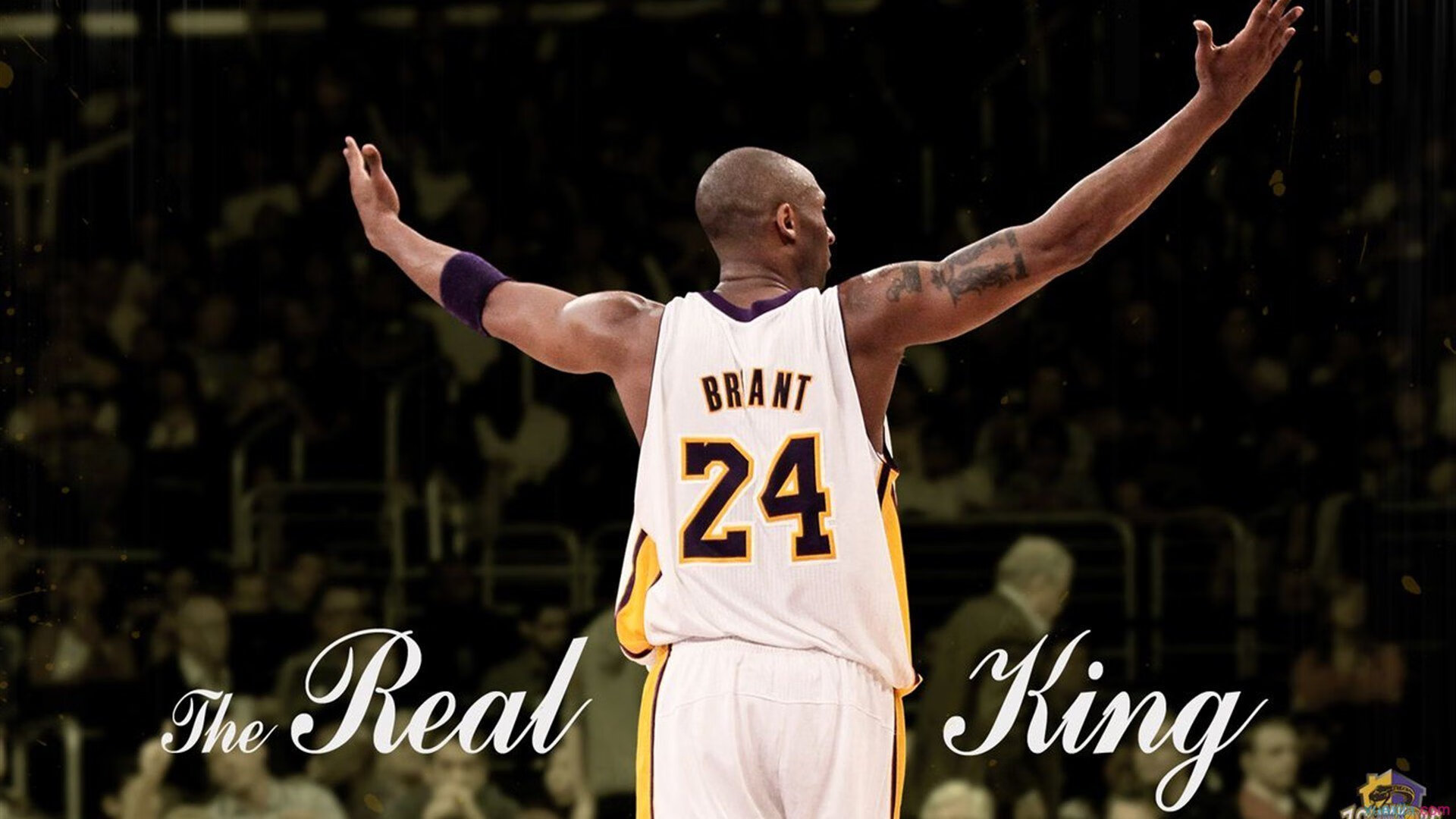 唯一性之战，德里赫特东决关键战接管比赛，诠释新西兰收割尼斯传奇